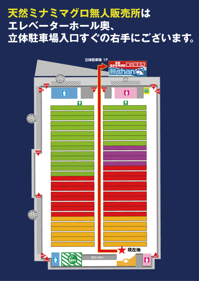 まぐろっちゃん地図