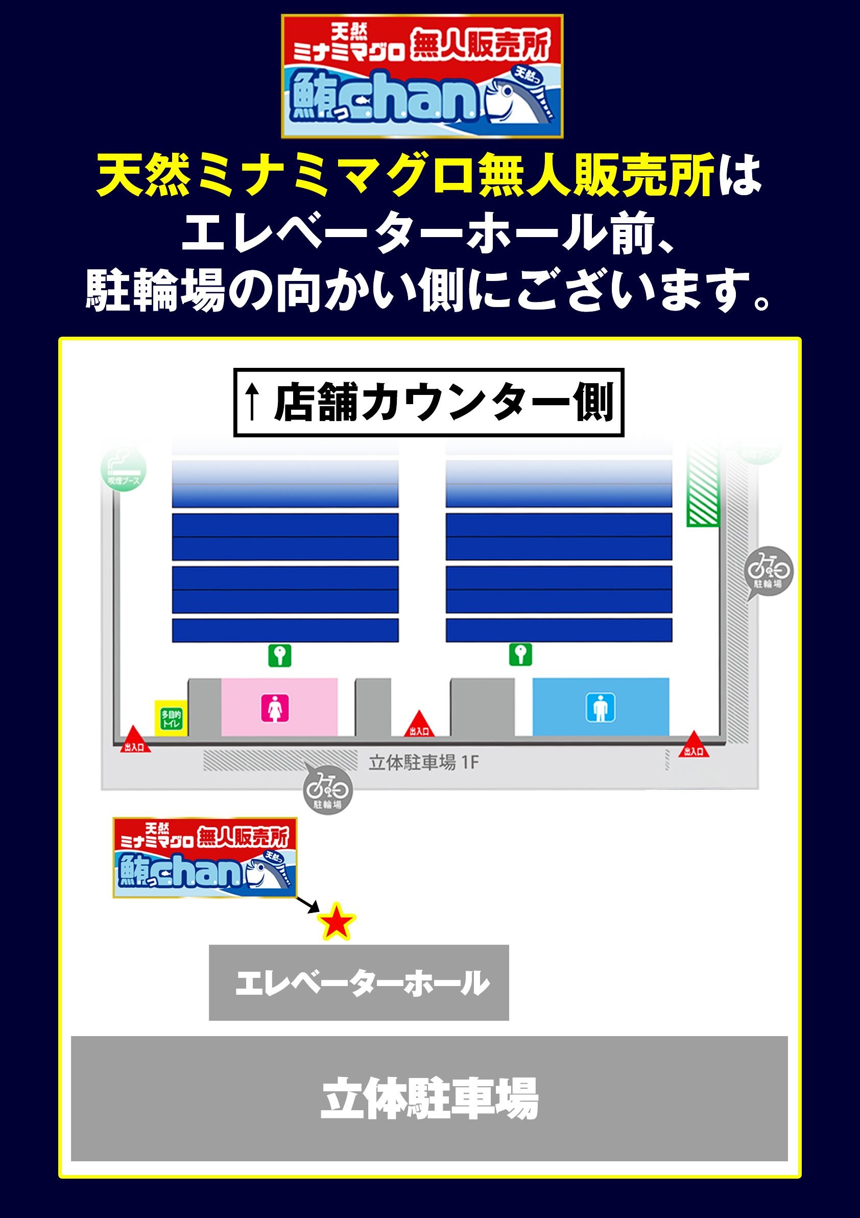 まぐろっちゃん地図